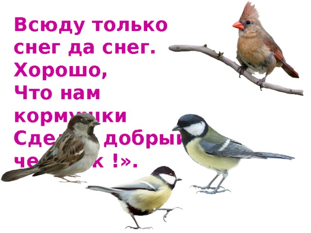 Всюду только снег да снег.  Хорошо,  Что нам кормушки  Сделал добрый человек !». 