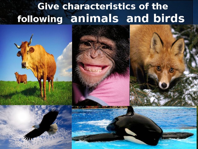 Give characteristics of the following animals and birds 