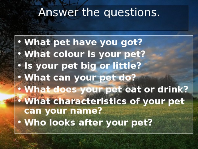 Answer the questions.   What pet have you got? What colour is your pet? Is your pet big or little? What can your pet do? What does your pet eat or drink? What characteristics of your pet can your name? Who looks after your pet? 