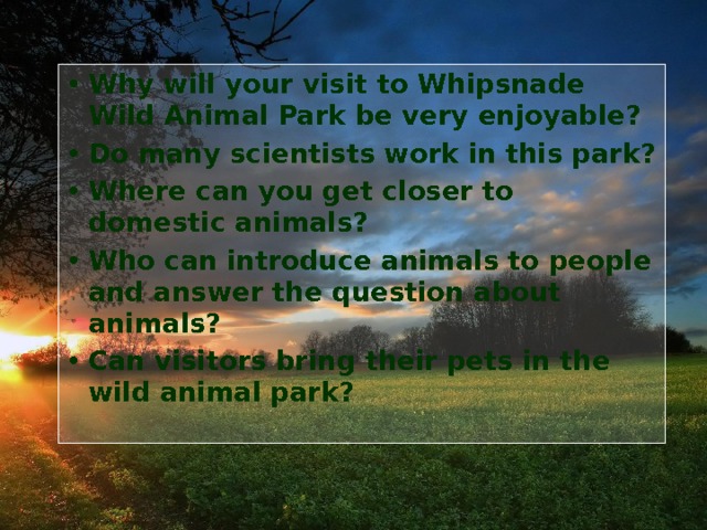 Why will your visit to  Whipsnade Wild Animal Park be very enjoyable? Do many scientists work in this park? Where can you get closer to domestic animals? Who can introduce animals to people and answer the question about animals? Can visitors bring their pets in the wild animal park?  