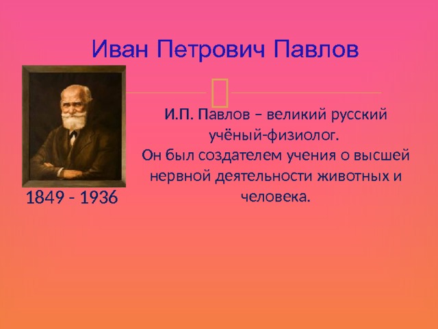 Иван Петрович Павлов И.П. Павлов – великий русский учёный-физиолог.  Он был создателем учения о высшей нервной деятельности животных и человека. 1849 - 1936 11 