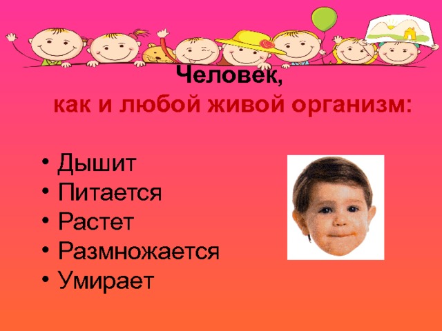 Человек, как и любой живой организм:  Дышит Питается Растет Размножается Умирает  