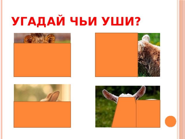 Угадай чьи уши? 