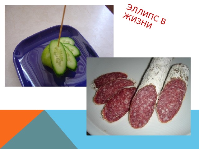 ЭЛЛИПС В ЖИЗНИ 