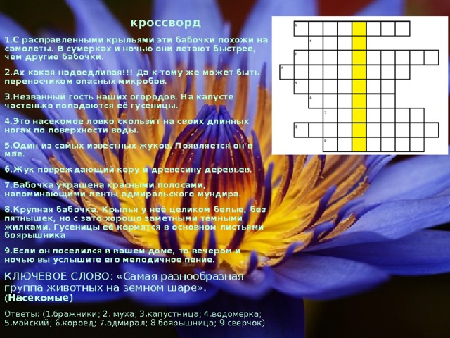  кроссворд 1.С расправленными крыльями эти бабочки похожи на самолеты. В сумерках и ночью они летают быстрее, чем другие бабочки. 2.Ах какая надоедливая!!! Да к тому же может быть переносчиком опасных микробов. 3.Незванный гость наших огородов. На капусте частенько попадаются её гусеницы. 4.Это насекомое ловко скользит на своих длинных ногах по поверхности воды. 5.Один из самых известных жуков. Появляется он в мае. 6.Жук повреждающий кору и древесину деревьев. 7.Бабочка украшена красными полосами, напоминающими ленты адмиральского мундира. 8.Крупная бабочка. Крылья у неё целиком белые, без пятнышек, но с зато хорошо заметными тёмными жилками. Гусеницы её кормятся в основном листьями боярышника 9.Если он поселился в вашем доме, то вечером и ночью вы услышите его мелодичное пение. КЛЮЧЕВОЕ СЛОВО: «Самая разнообразная группа животных на земном шаре». ( Насекомые) Ответы: (1.бражники; 2. муха; 3.капустница; 4.водомерка; 5.майский; 6.короед; 7.адмирал; 8.боярышница; 9.сверчок) 