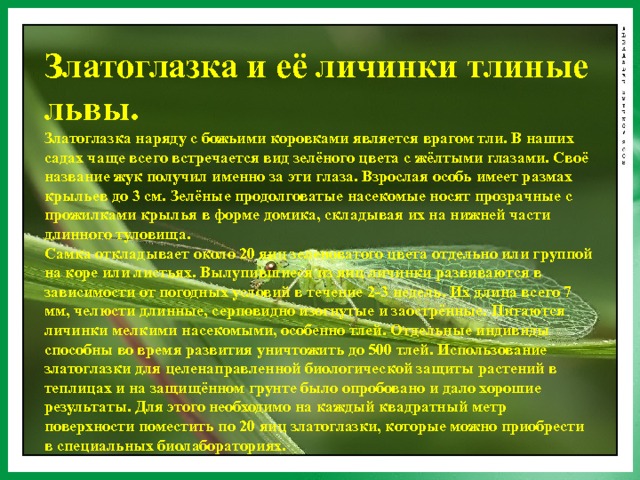 На уроке биологии дети отметили на диаграмме длину насекомых в миллиметрах