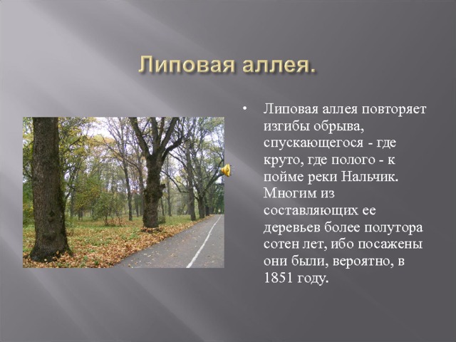 Липовая аллея повторяет изгибы обрыва, спускающегося - где круто, где полого - к пойме реки Нальчик. Многим из составляющих ее деревьев более полутора сотен лет, ибо посажены они были, вероятно, в 1851 году. 