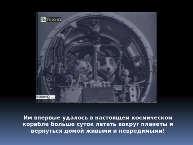 Им впервые удалось в настоящем космическом корабле больше суток летать вокруг планеты и вернуться домой живыми и невредимыми! 