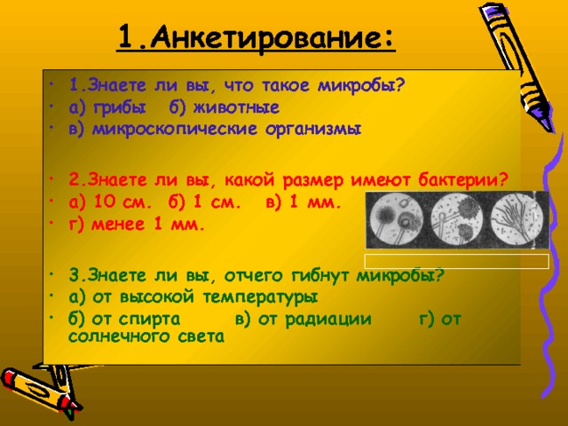 1.Анкетирование: 1.Знаете ли вы, что такое микробы? а) грибы б) животные в) микроскопические организмы  2.Знаете ли вы, какой размер имеют бактерии? а) 10 см. б) 1 см. в) 1 мм. г) менее 1 мм.  3.Знаете ли вы, отчего гибнут микробы? а) от высокой температуры б) от спирта в) от радиации г) от солнечного света 