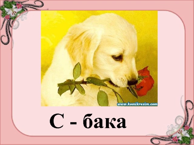 С - бака 