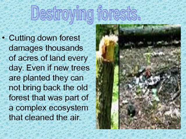     Cutting down forest damages thousands of acres of land every day. Even if new trees are planted they can not bring back the old forest that was part of a complex ecosystem that cleaned the air. 