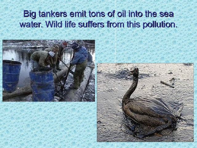 Oil spills  This is the result of human activities: oil spills. Polluted water also causes water animals to die.  This is the result of human activities: oil spills. Polluted water also causes water animals to die. 
