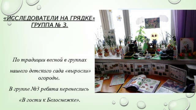 «Исследователи на грядке»  Группа № 3.   Вставка рисунка По традиции весной в группах  нашего детского сада «выросли» огороды. В группе №3 ребята перенеслись «В гости к Белоснежке». 