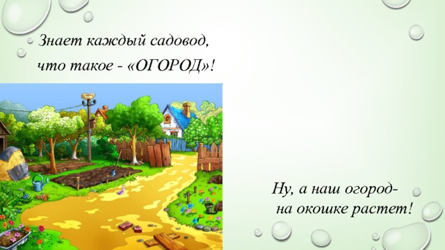 Знает каждый садовод, что такое - «ОГОРОД»! Ну, а наш огород-  на окошке растет! 