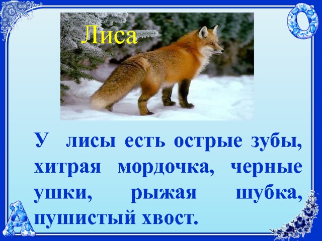 относительные прилагательные лисий. лисий хвост прилагательное. лисий хвост прилагательное. хвосты диких животных для детей. склонение прилагательных.