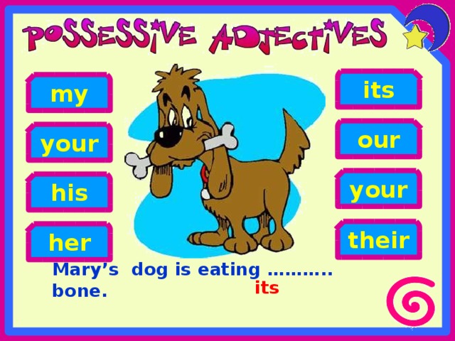 its my our your your his their her Mary’s dog is eating ……….. bone. its 