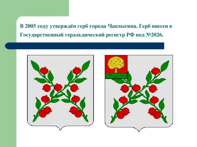 В 2005 году утверждён герб города Чаплыгина. Герб внесен в Государственный геральдический регистр РФ под №2026.  