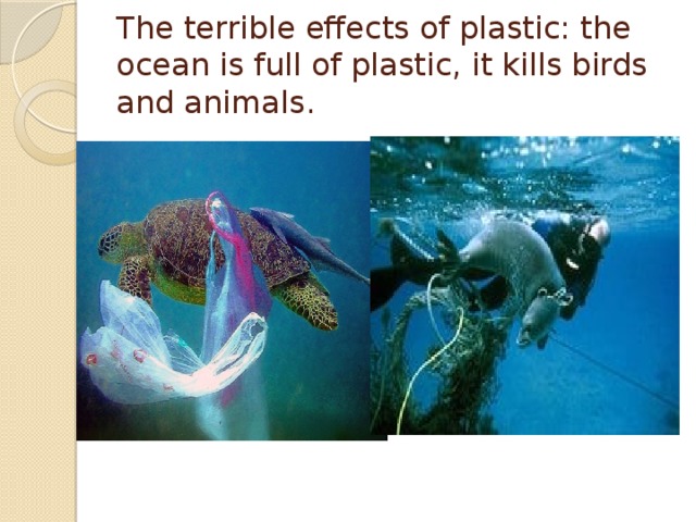 The terrible effects of plastic: the ocean is full of plastic, it kills birds and animals.   