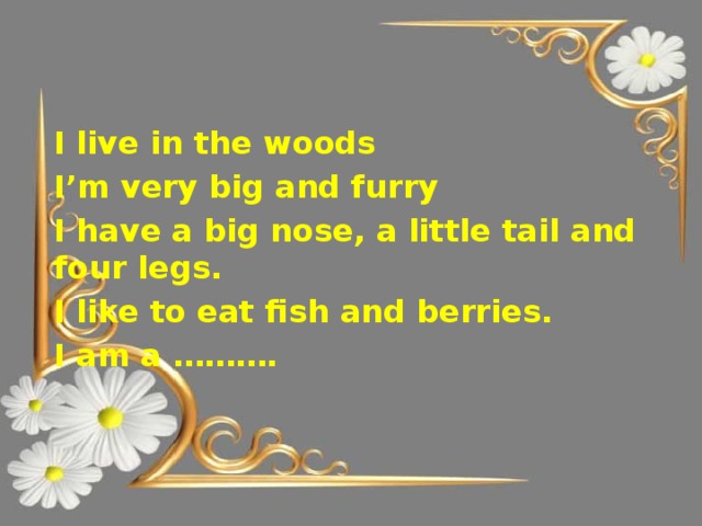 I live in the woods I’m very big and furry I have a big nose, a little tail and four legs. I like to eat fish and berries. I am a ……….