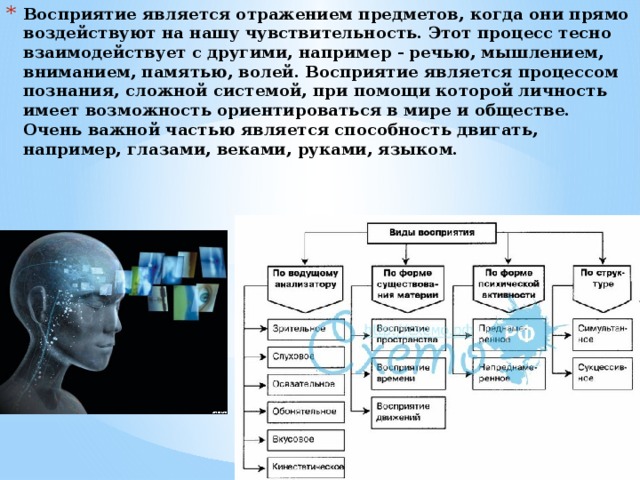 Восприятие память мышление и другие познавательные процессы определяются схемами