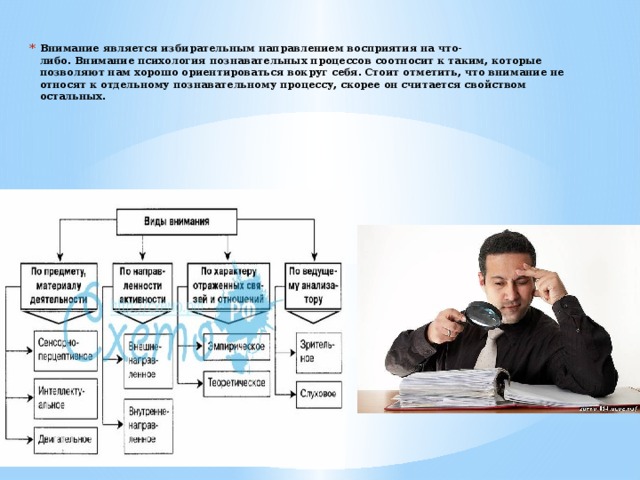 Внимание является избирательным направлением восприятия на что-либо. Внимание психология познавательных процессов соотносит к таким, которые позволяют нам хорошо ориентироваться вокруг себя. Стоит отметить, что внимание не относят к отдельному познавательному процессу, скорее он считается свойством остальных.