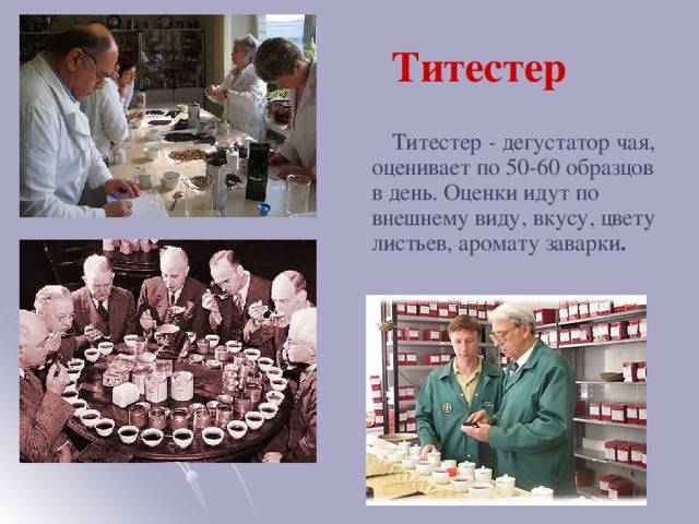 Титестер  Титестер - дегустатор чая, оценивает по 50-60 образцов в день. Оценки идут по внешнему виду, вкусу, цвету листьев, аромату заварки .