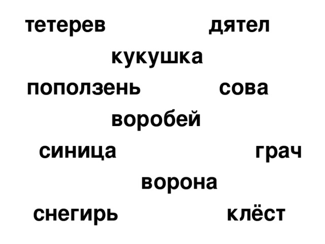 тетерев дятел  кукушка  поползень сова  воробей  синица грач  ворона  снегирь клёст