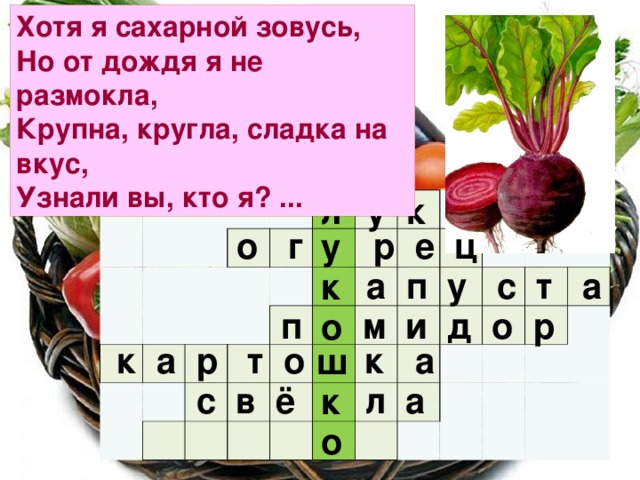 Хотя я сахарной зовусь,  Но от дождя я не размокла,  Крупна, кругла, сладка на вкус,  Узнали вы, кто я? ... у к л                                                                                                                                    о г р е ц у  а п у с т а к  п м и д о р о  к а р т о к а ш  с в ё л а к о