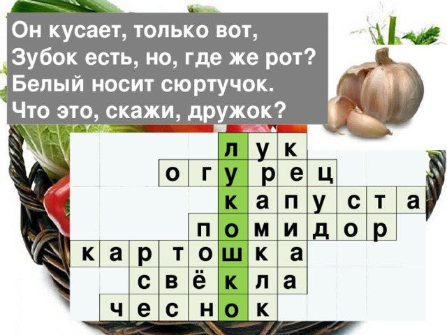 Он кусает, только вот,  Зубок есть, но, где же рот?  Белый носит сюртучок.  Что это, скажи, дружок? л у к                                                                                                                                    о г р е ц у  а п у с т а к  п м и д о р о  к а р т о к а ш  с в ё л а к  ч е с н к о