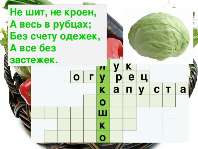 Не шит, не кроен,  А весь в рубцах;  Без счету одежек,  А все без застежек. у к л                                                                                                                                    о г р е ц у  а п у с т а к о ш к о