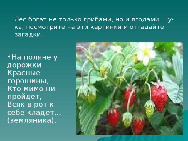 Лес богат не только грибами, но и ягодами. Ну-ка, посмотрите на эти картинки и отгадайте загадки: