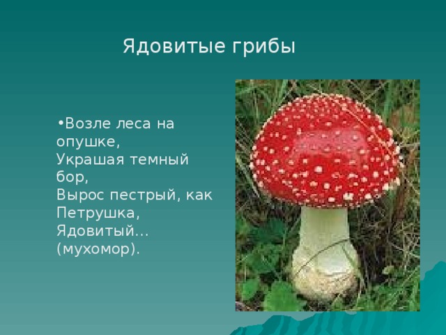 Ядовитые грибы