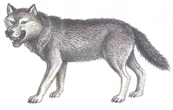 Ескі секс туралы бейне