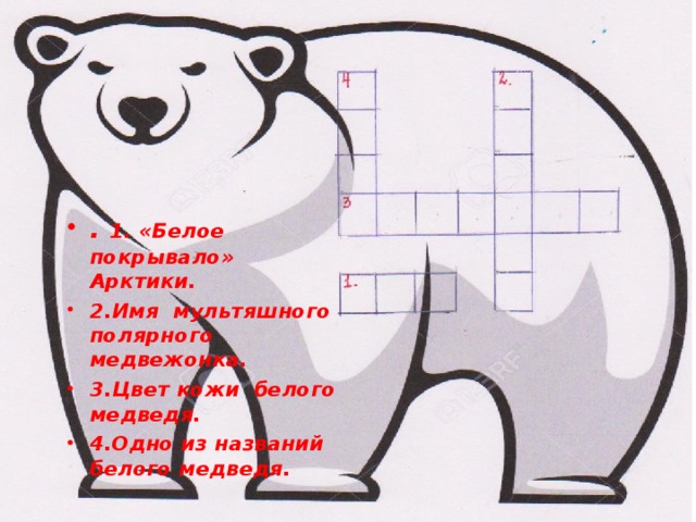. 1. «Белое покрывало» Арктики.  2.Имя мультяшного полярного медвежонка.  3.Цвет кожи белого медведя. 4.Одно из названий белого медведя.