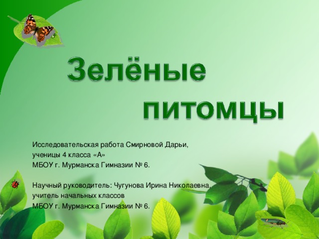 Исследовательская работа Смирновой Дарьи, ученицы 4 класса «А» МБОУ г. Мурманска Гимназии № 6. Научный руководитель: Чугунова Ирина Николаевна, учитель начальных классов МБОУ г. Мурманска Гимназии № 6.