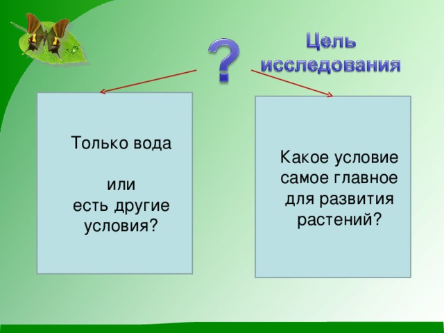 Только вода или есть другие условия? Какое условие самое главное для развития растений?