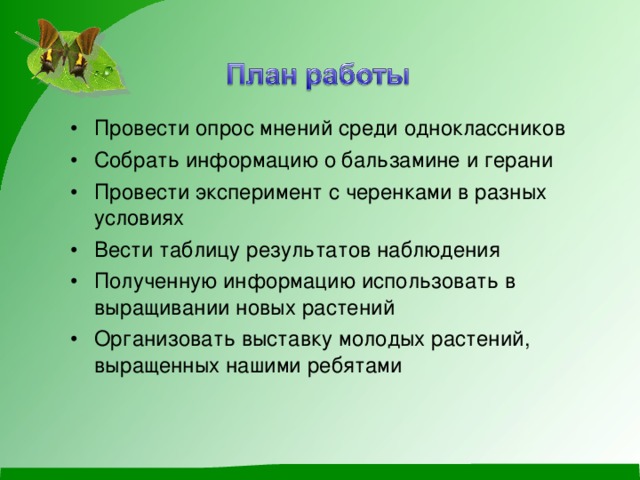 Провести опрос мнений среди одноклассников Собрать информацию о бальзамине и герани Провести эксперимент с черенками в разных условиях Вести таблицу результатов наблюдения Полученную информацию использовать в выращивании новых растений Организовать выставку молодых растений, выращенных нашими ребятами