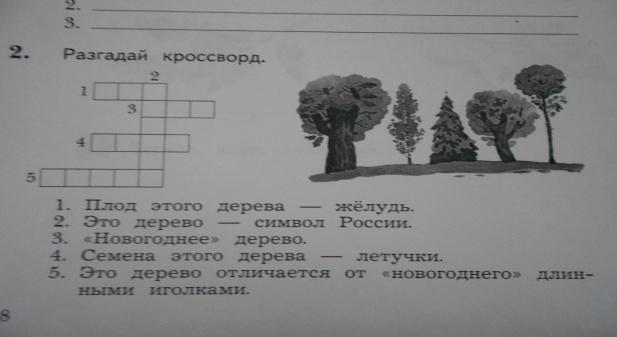 Кроссворд дерево. Кроссворд деревья. Кроссворд про деревья для детей. Кроссворд по деревьям. Кроссворд деревья и кустарники.