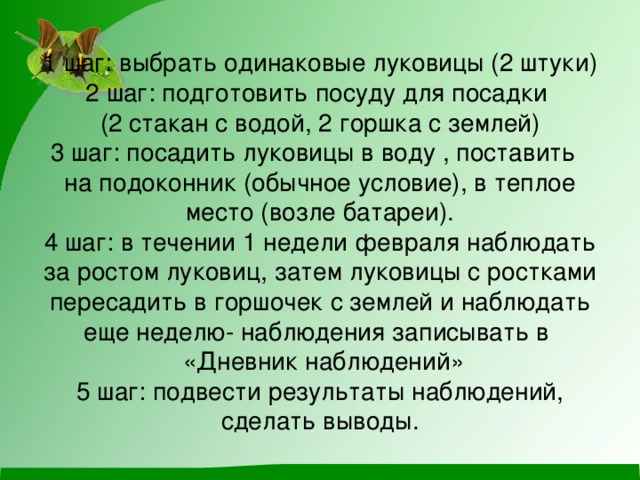 1 шаг: выбрать одинаковые луковицы (2 штуки)  2 шаг: подготовить посуду для посадки  (2 стакан с водой, 2 горшка с землей)  3 шаг: посадить луковицы в воду , поставить  на подоконник (обычное условие), в теплое место (возле батареи).  4 шаг: в течении 1 недели февраля наблюдать за ростом луковиц, затем луковицы с ростками пересадить в горшочек с землей и наблюдать еще неделю- наблюдения записывать в  «Дневник наблюдений»  5 шаг: подвести результаты наблюдений, сделать выводы.