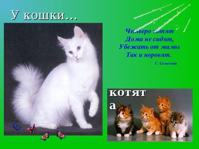 У кошки…      Четверо котят  Дома не сидят,  Убежать от мамы  Так и норовят.   С. Семенова   котята