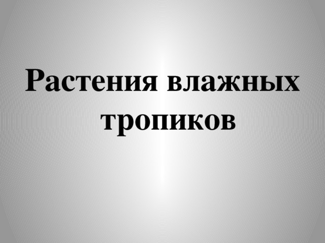 Растения влажных тропиков