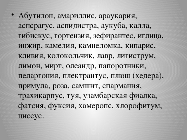 Абутилон, амариллис, араукария, аспсрагус, аспидистра, аукуба, калла, гибискус, гортензия, зефирантес, иглица, инжир, камелия, камнеломка, кипарис, кливия, колокольчик, лавр, лигиструм, лимон, мирт, олеандр, папоротники, пеларгония, плектрантус, плющ (хедера), примула, роза, самшит, спармания, трахикарпус, туя, узамбарская фиалка, фатсия, фуксия, хамеропс, хлорофитум, циссус.