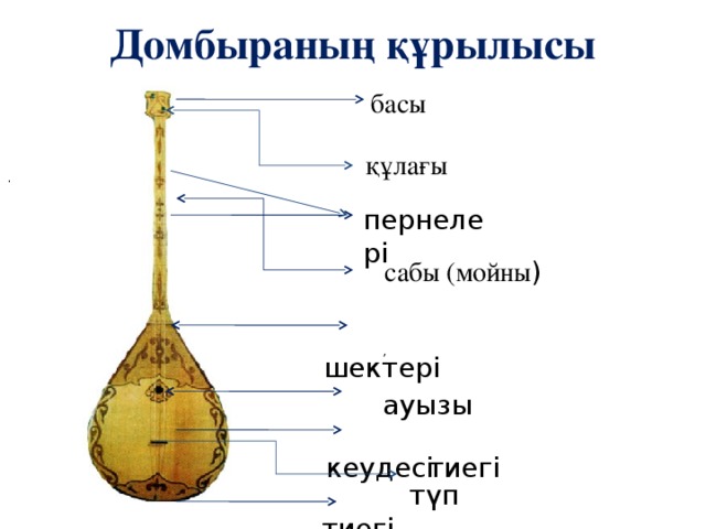 Домбыраның құрылысы . басы құлағы , ауызы пернелері  сабы (мойны )  шектері  кеудесі  тиегі   түп тиегі