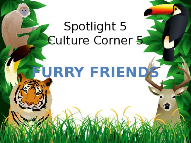 Spotlight 5  Culture Corner 5 Furry friends