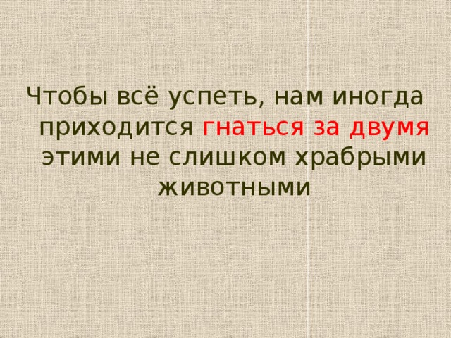 Чтобы всё успеть, нам иногда приходится гнаться  за двумя этими не слишком храбрыми животными