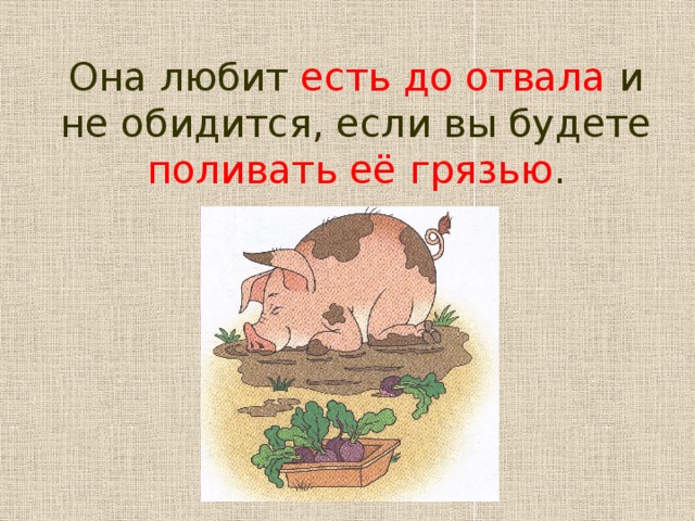 Она любит есть до отвала и не обидится, если вы будете поливать её грязью .