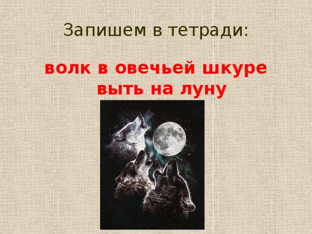 Запишем в тетради: волк в овечьей шкуре  выть на луну