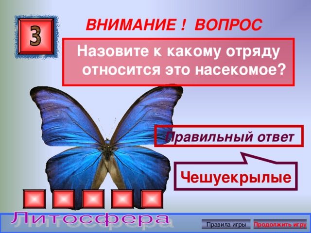 Чешуекрылые ВНИМАНИЕ ! ВОПРОС Назовите к какому отряду относится это насекомое? Правильный ответ Правила игры Продолжить игру