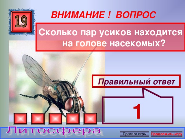 1 ВНИМАНИЕ ! ВОПРОС Сколько пар усиков находится на голове насекомых? Правильный ответ Правила игры Продолжить игру