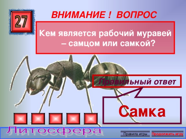 Самка ВНИМАНИЕ ! ВОПРОС Кем является рабочий муравей – самцом или самкой? Правильный ответ Правила игры Продолжить игру
